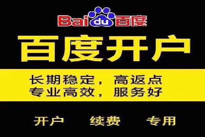 案例解析：竞价代运营如何实现高效广告投放